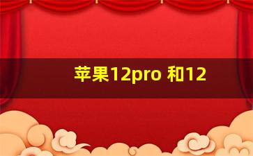 苹果12pro 和12